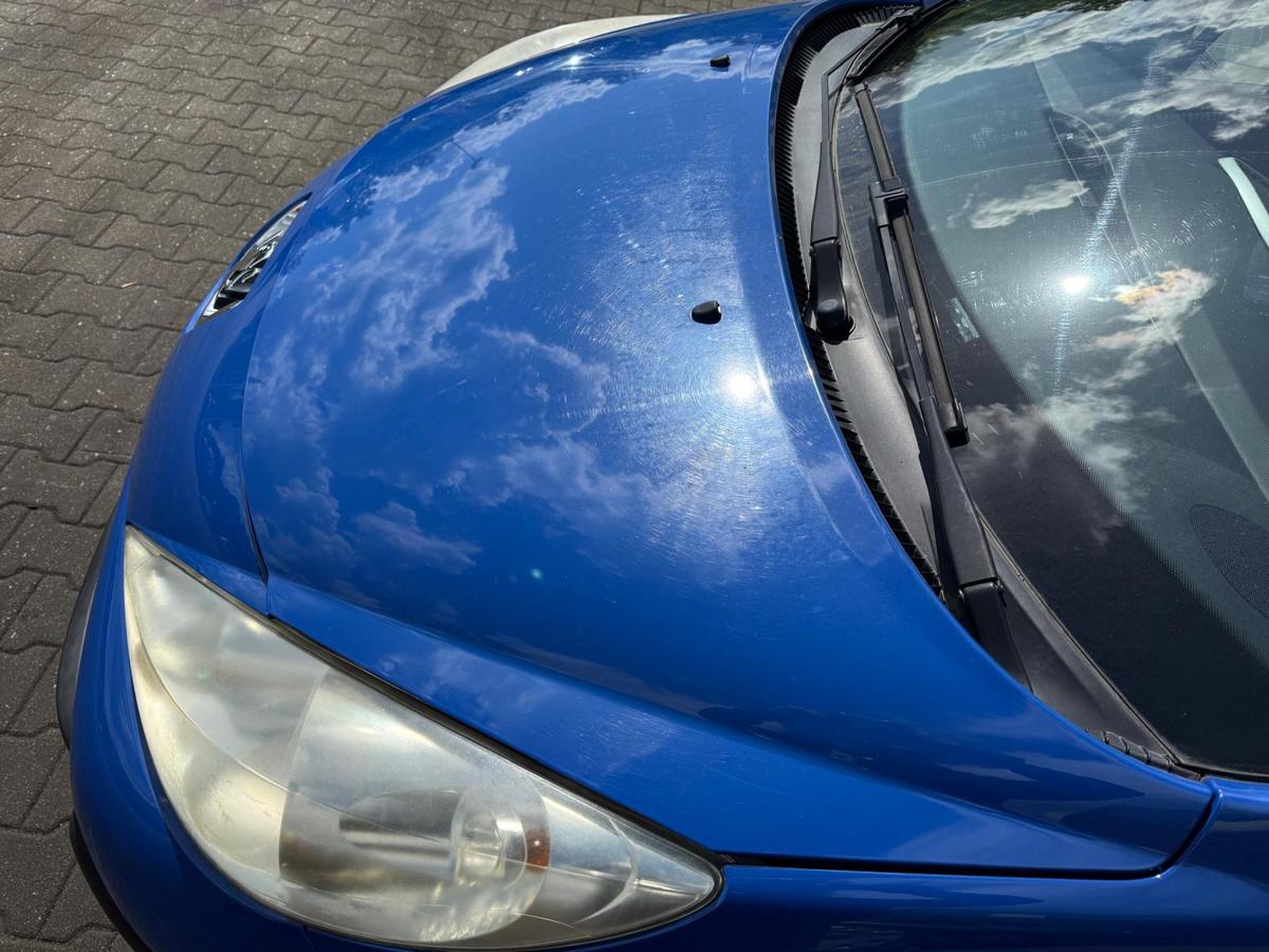 Peugeot 207 original Motorhaube EGJ Blau Santorin BJ07
